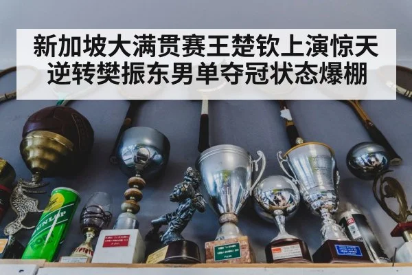 新加坡大满贯赛王楚钦上演惊天逆转樊振东男单夺冠状态爆棚